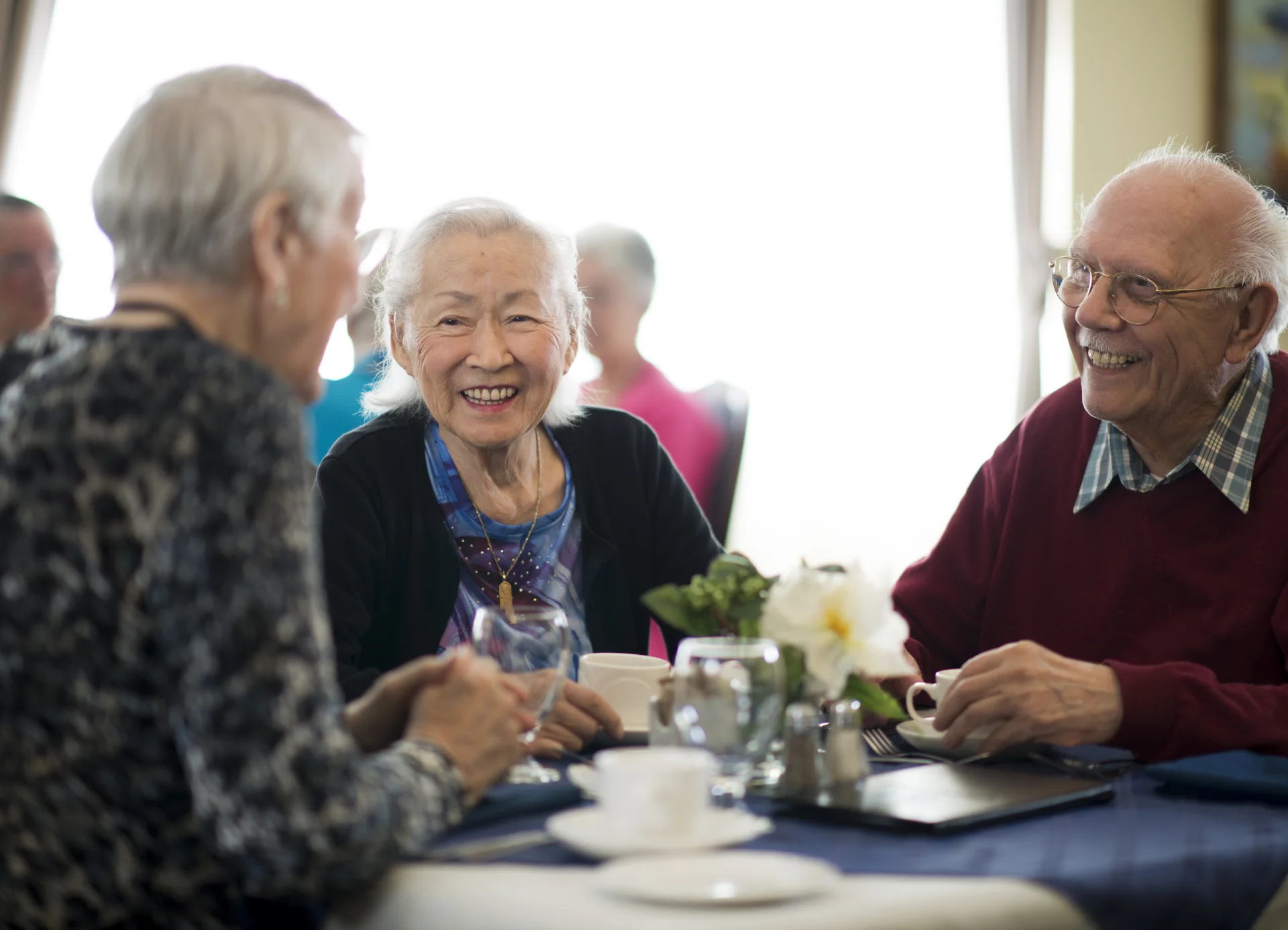 Seniors enjoying a meal