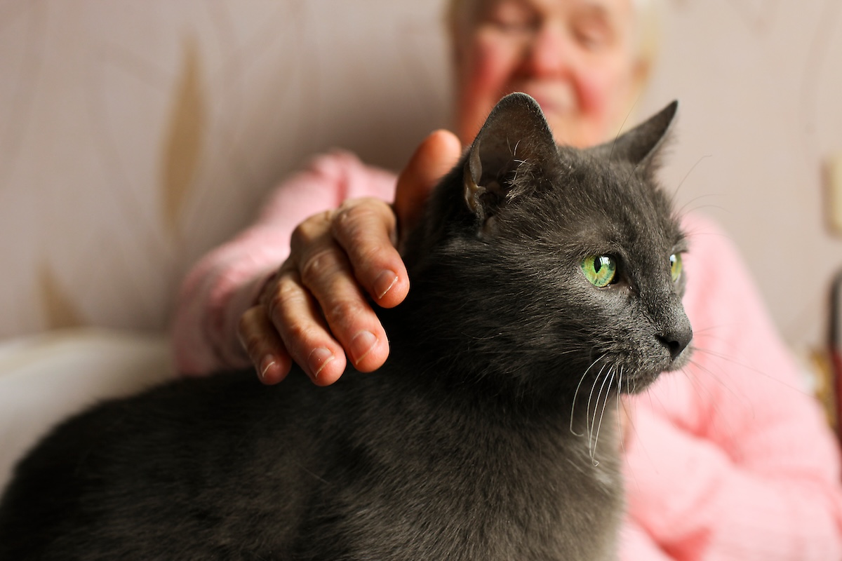 What are the Benefits of Pet-Friendly Assisted Living?